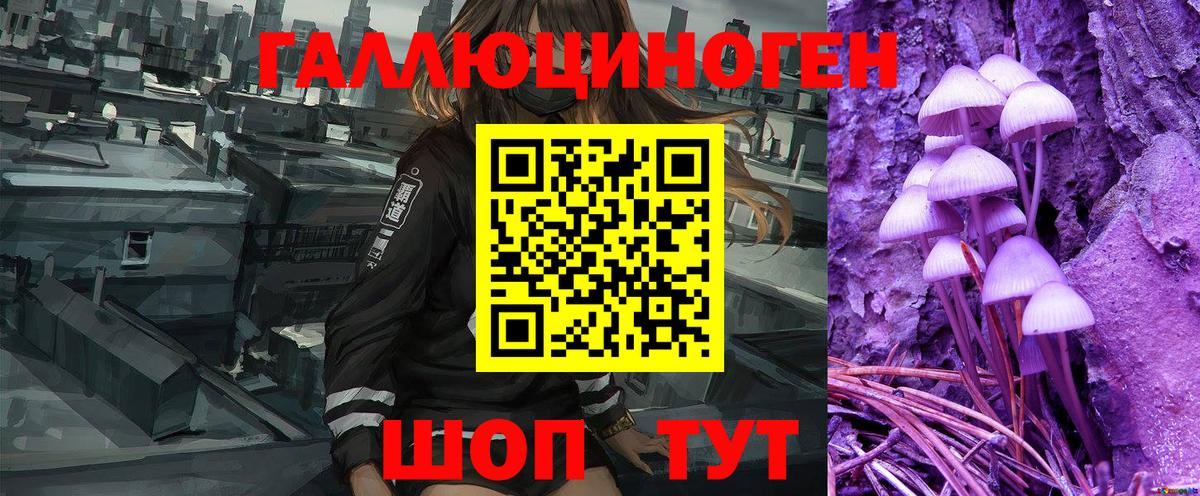 Галлюциногенные грибы GOLDEN TEACHER Будённовск